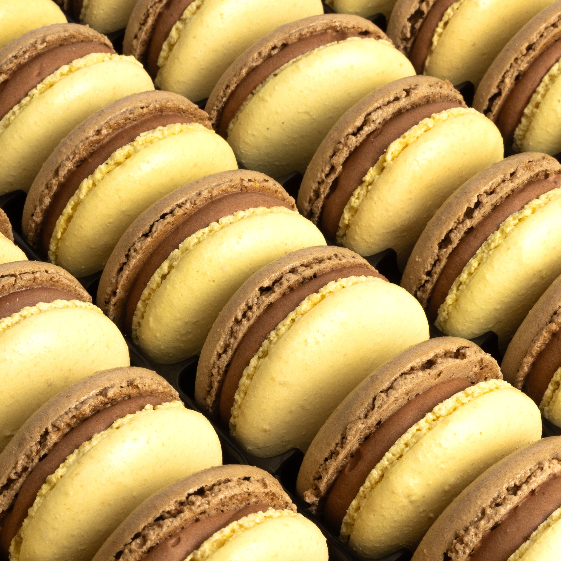 Hazelnut Praline