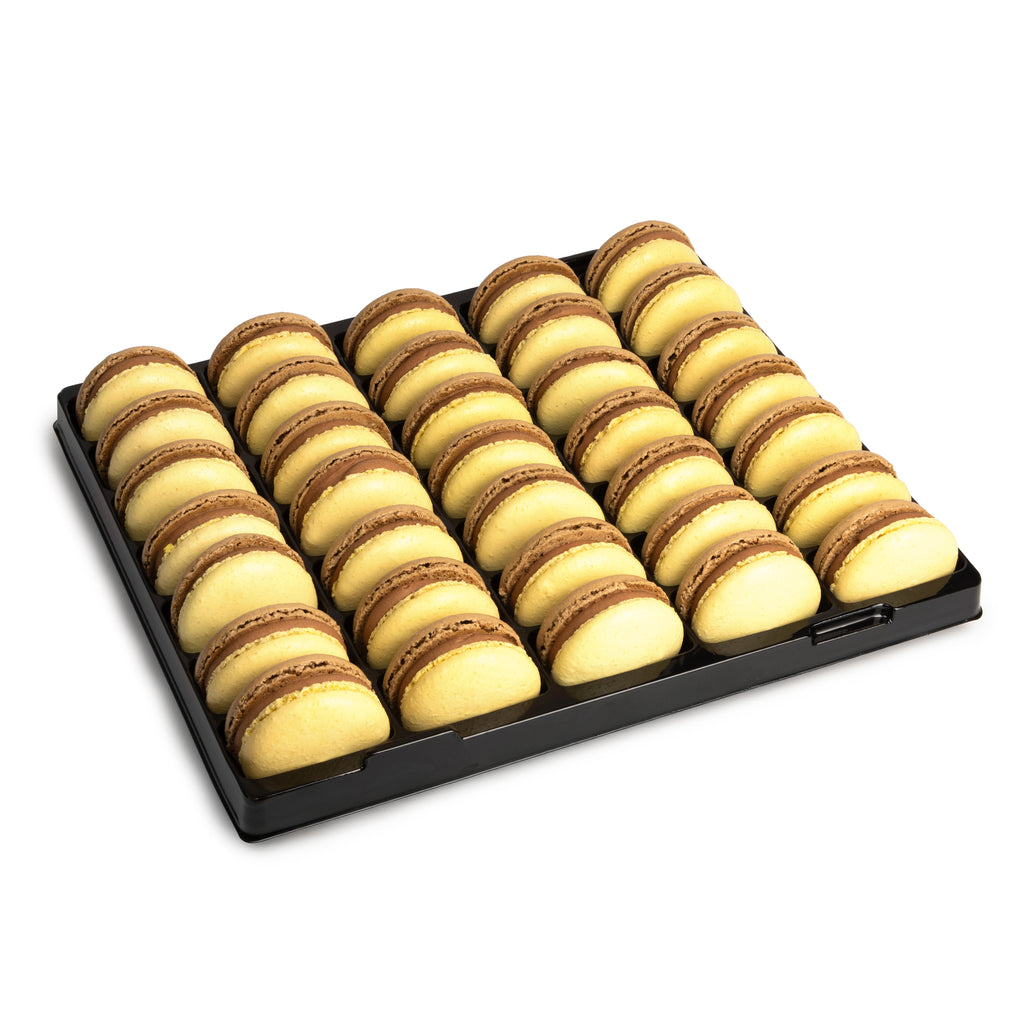 Hazelnut Praline Macarons