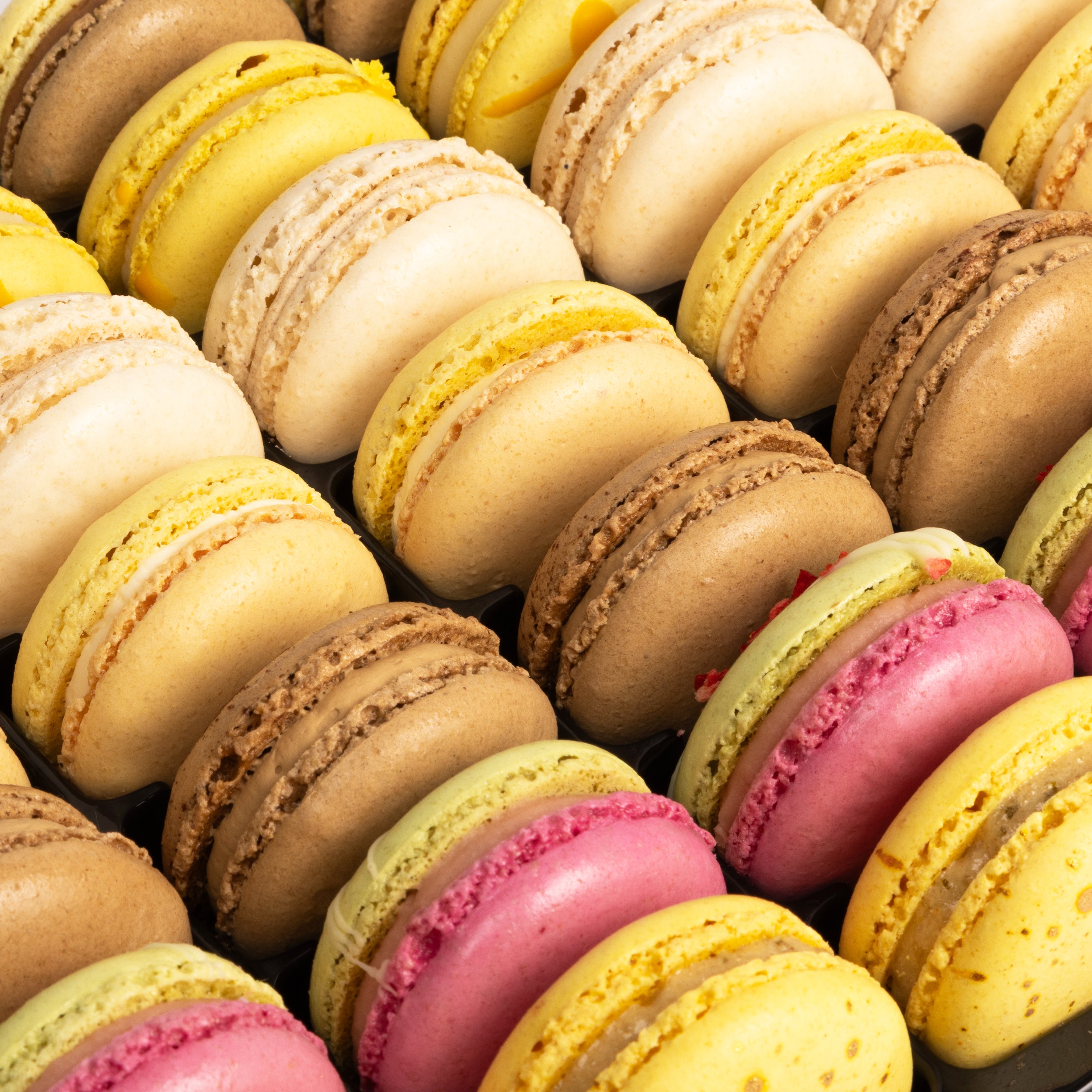 Mixed Macarons