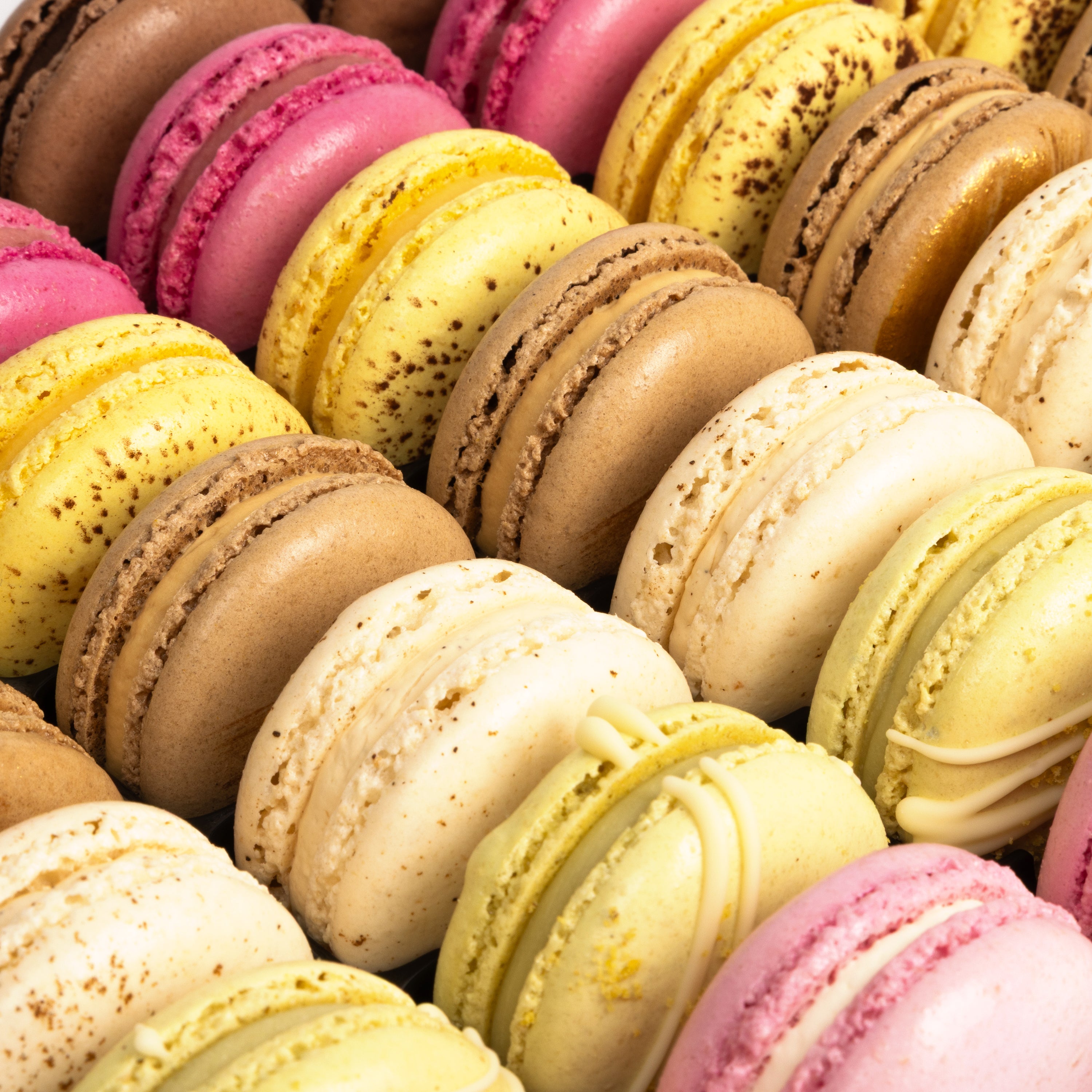 Mixed Macarons
