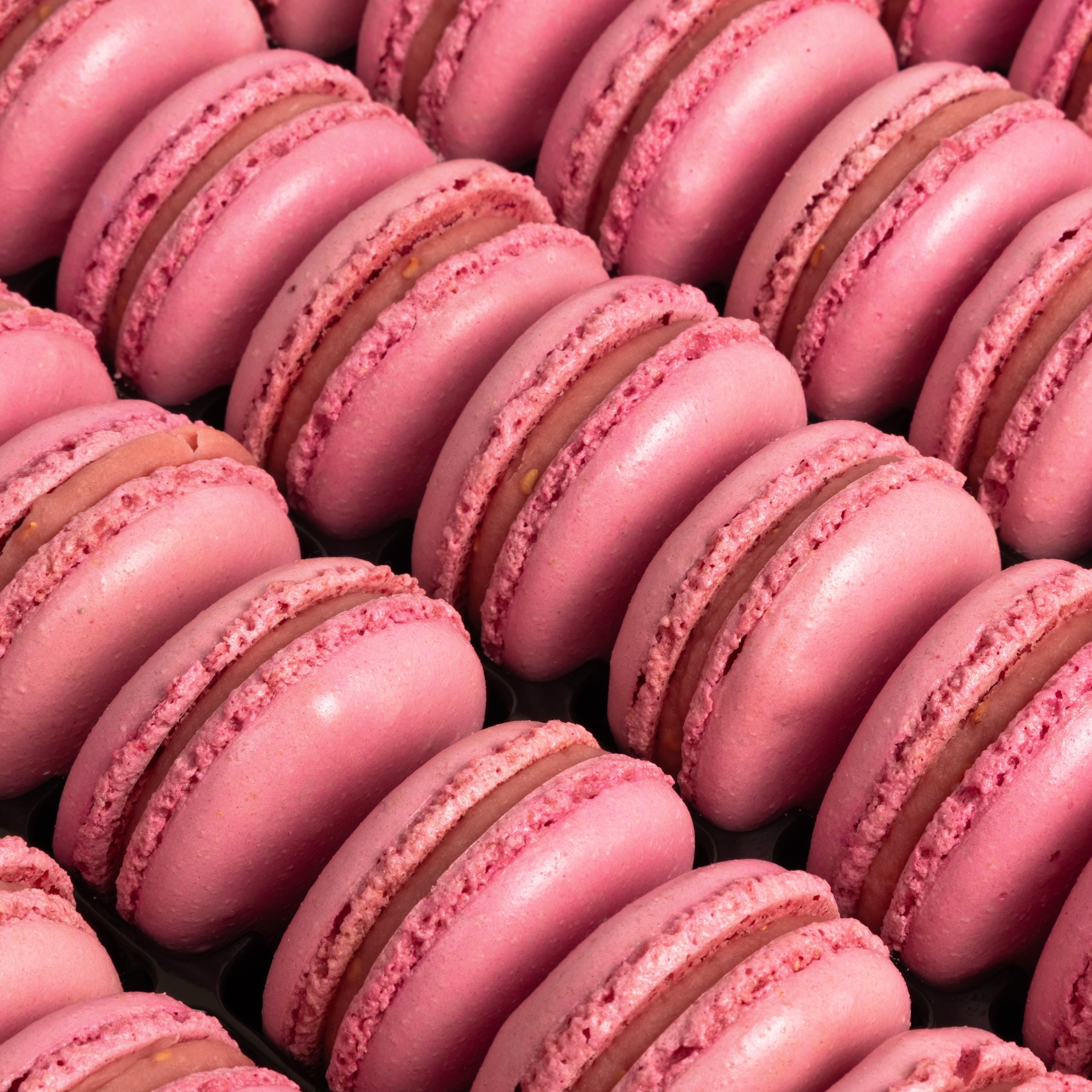 Raspberry Rose Macarons