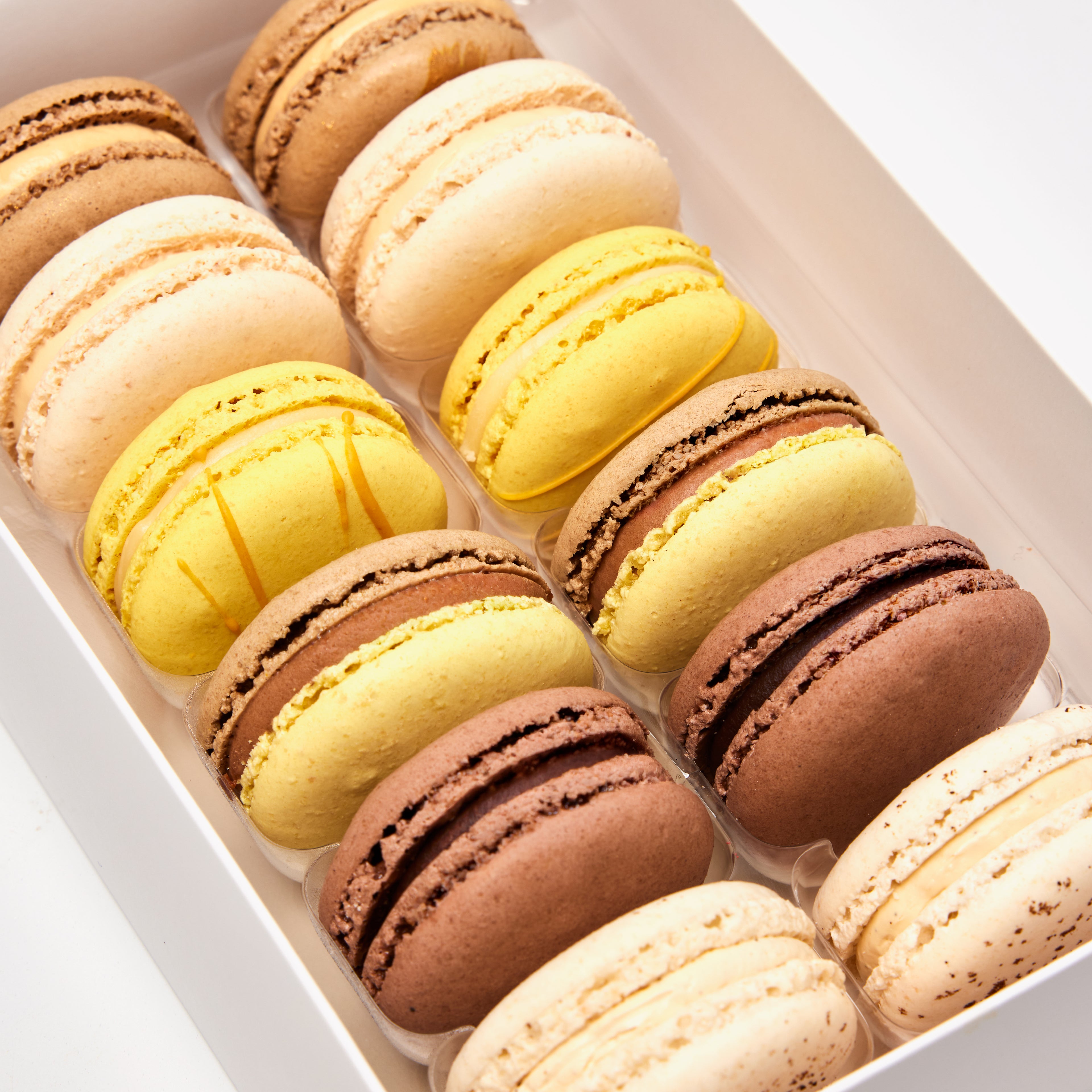 Signature Box